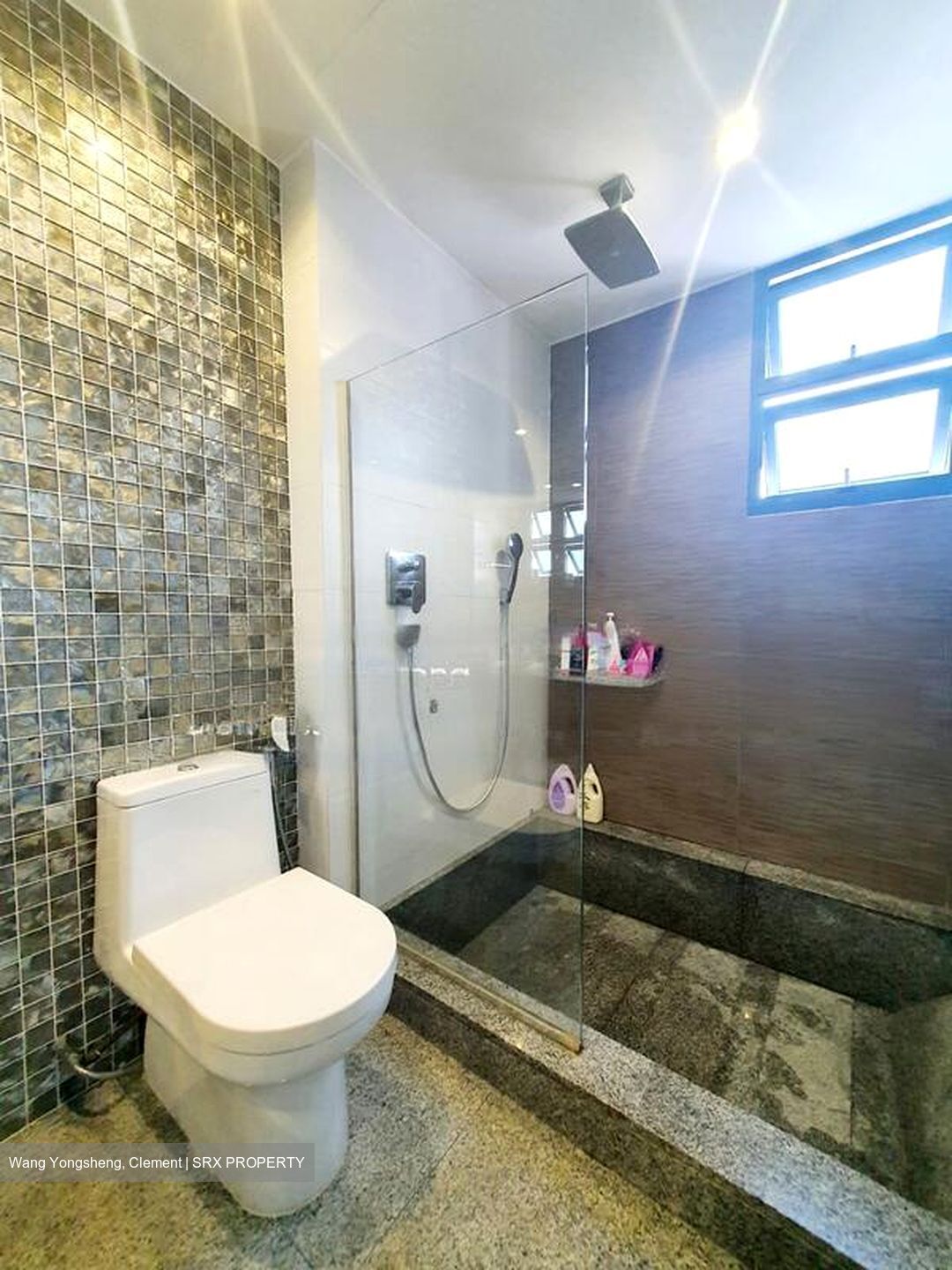 Water Place (D15), Condominium #478610211